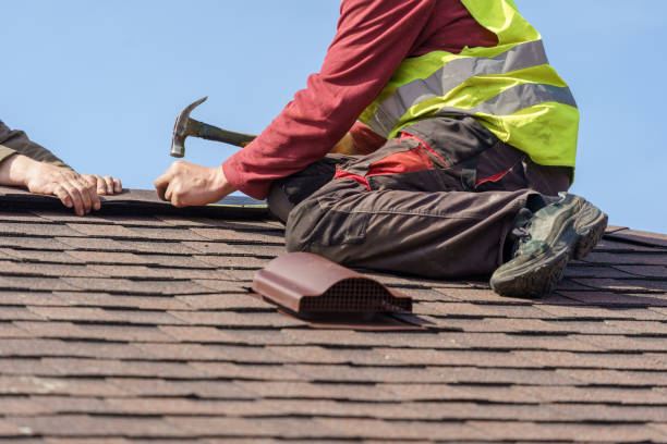 Best Roof Gutter Cleaning  in Aberdeen, OH