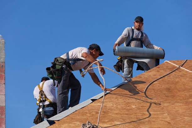 Best Metal Roofing Contractor  in Aberdeen, OH